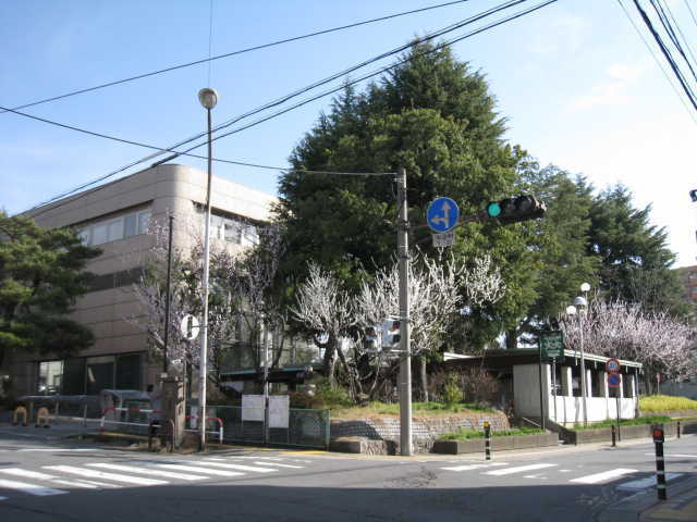 長野図書館の魯桃桜全体の写真