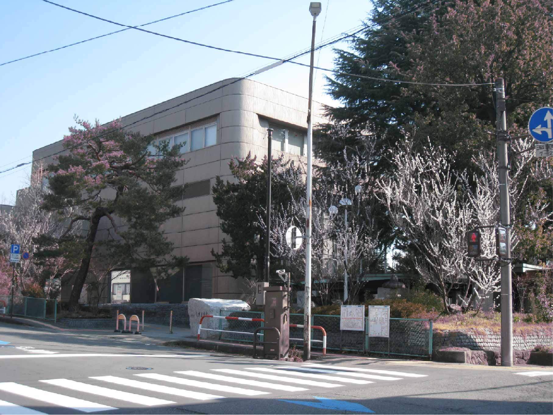 長野図書館の魯桃桜全体の写真
